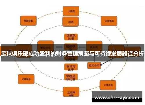 足球俱乐部成功盈利的财务管理策略与可持续发展路径分析