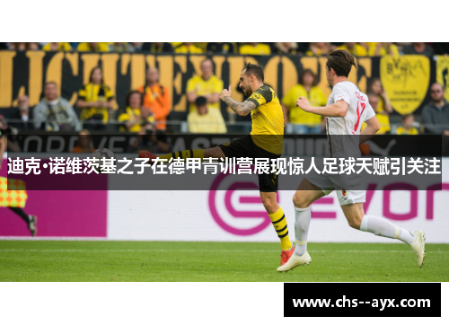 迪克·诺维茨基之子在德甲青训营展现惊人足球天赋引关注