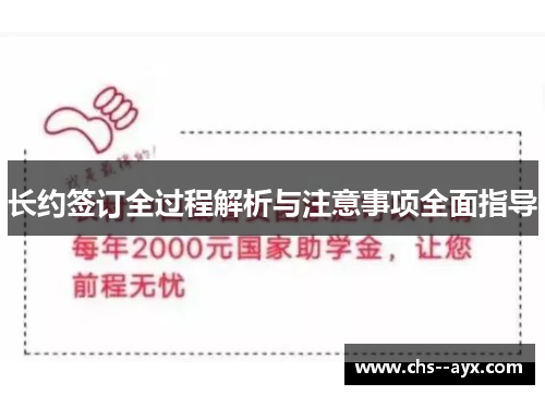 长约签订全过程解析与注意事项全面指导