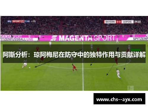 阿斯分析：琼阿梅尼在防守中的独特作用与贡献详解